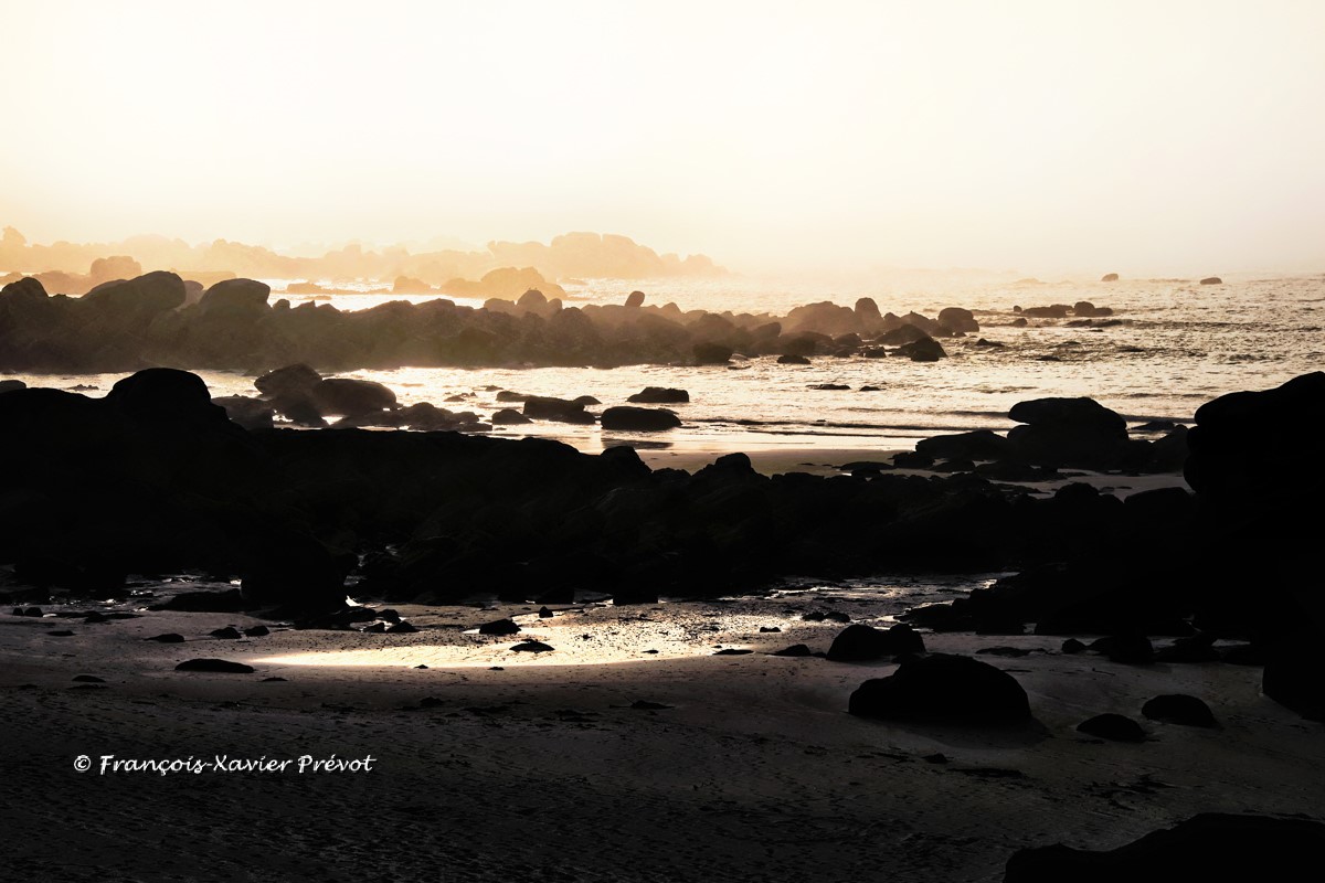 Cours Photo Brest