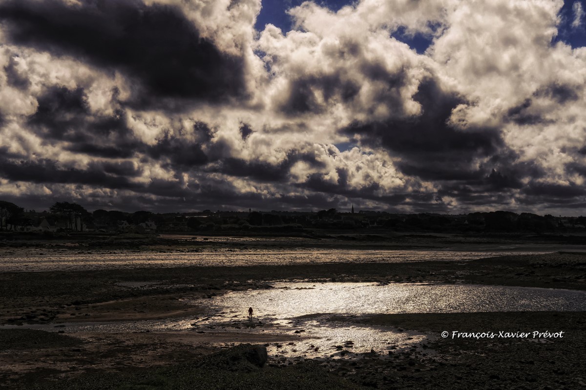 Cours de Retouche Photo