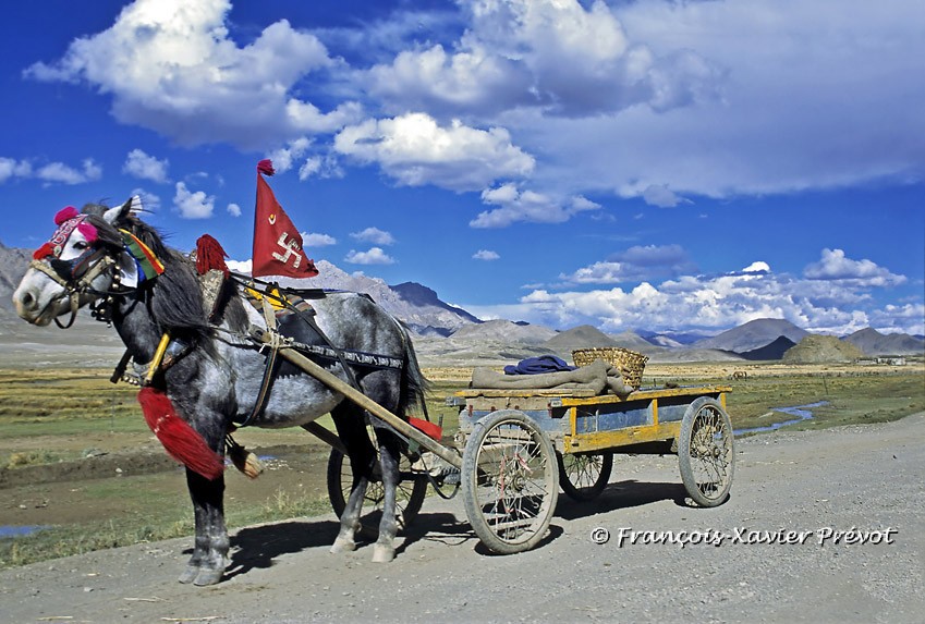 Photographie du Tibet