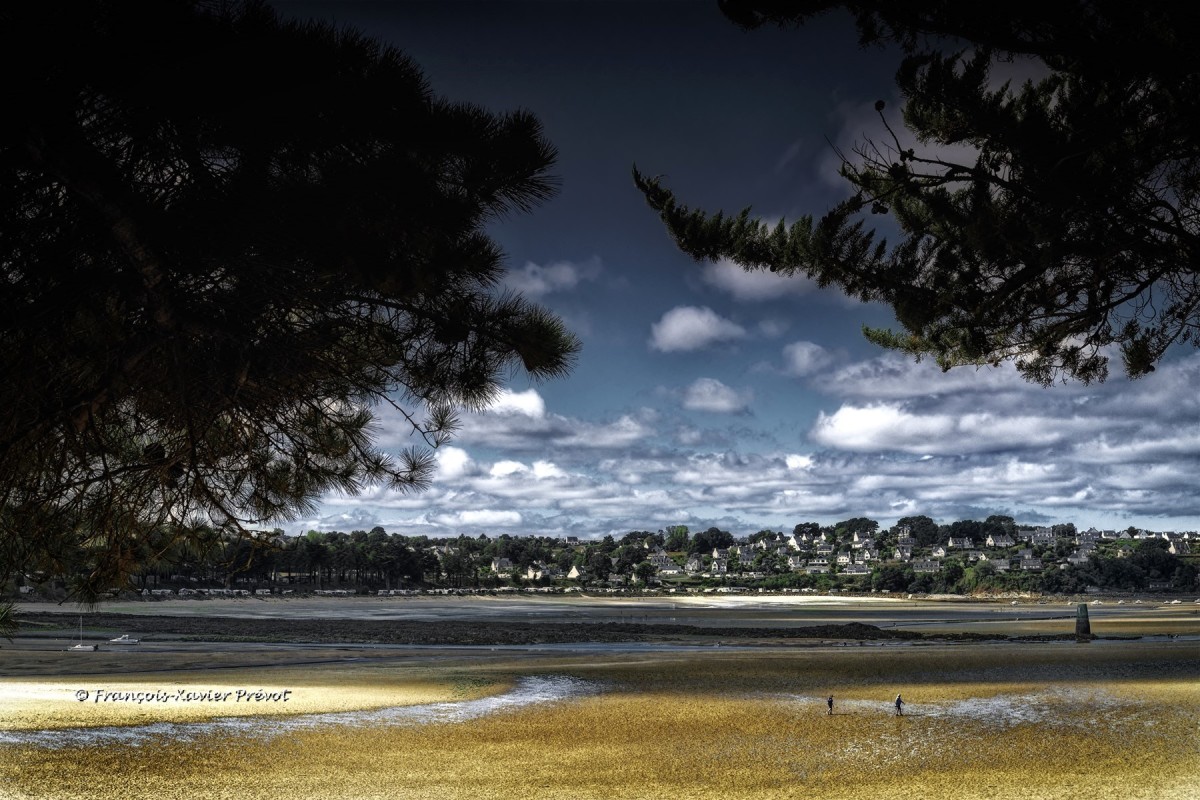 Photographe Stage Photo Finistère