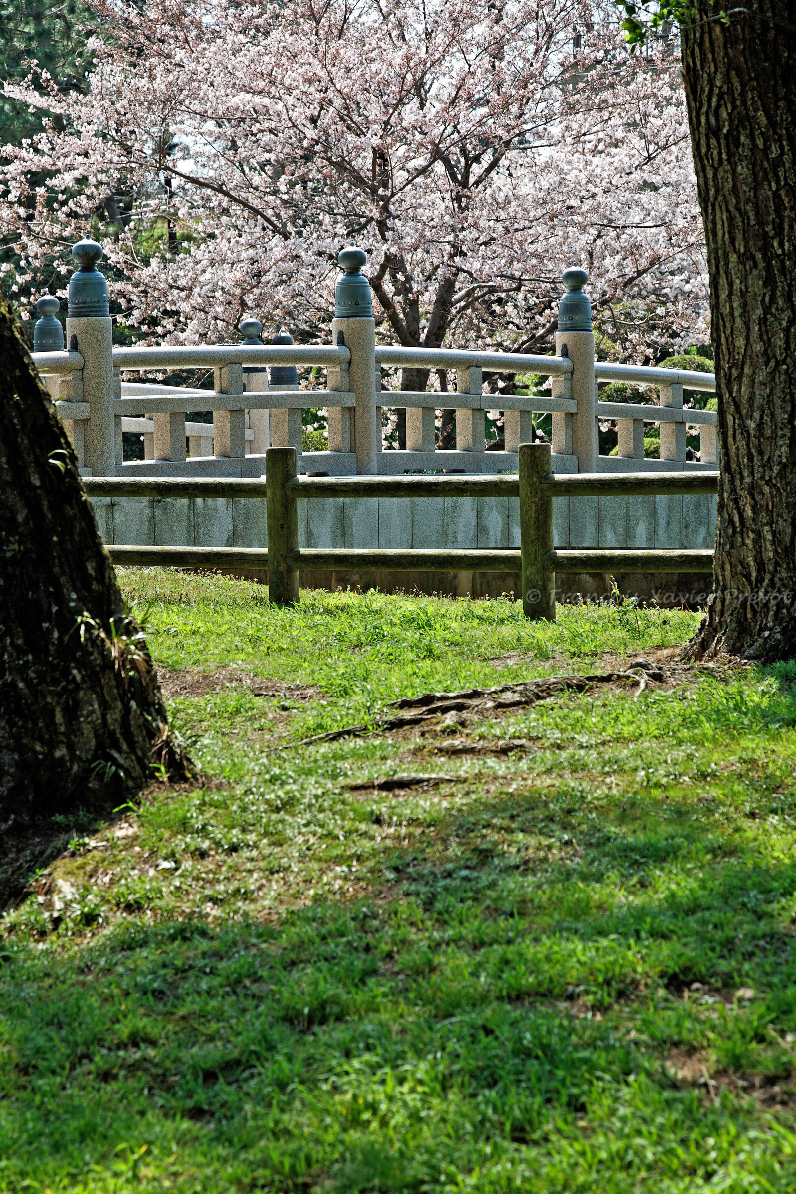 photo du Japon