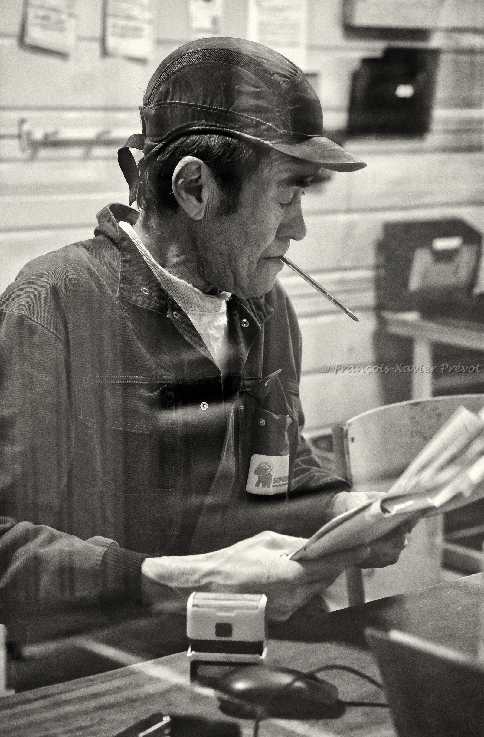 photographe dans le finistère
