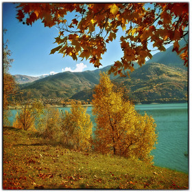 photo de forêt en automne
