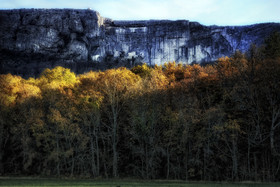 photo de forêt en automne