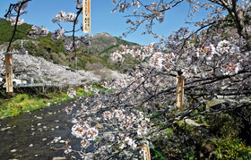 photo du Japon