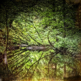 Photo de Bretagne