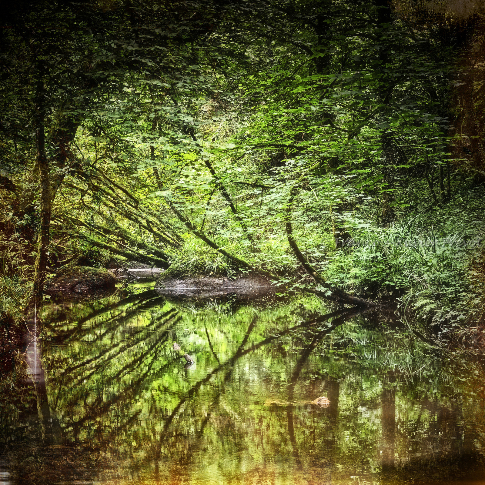 Photo de Bretagne