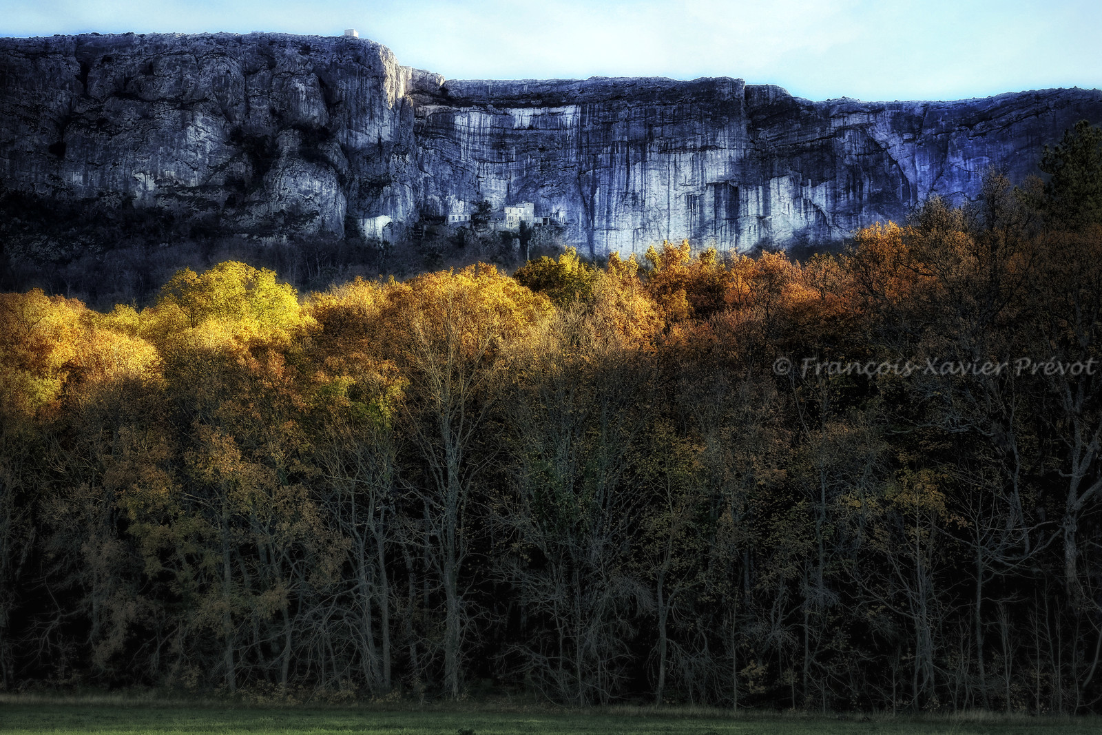 photo de forêt en automne
