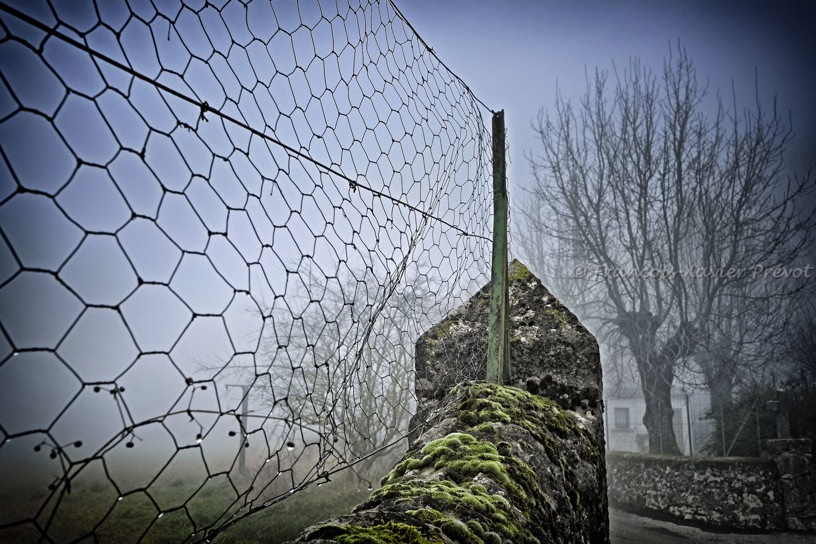 Photo de Paysage du Larzac