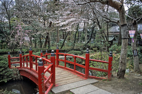 photo du Japon