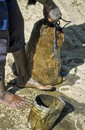 photo du Mali