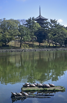 photo du Japon