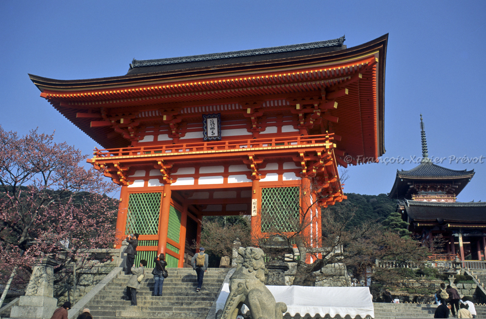 photo du Japon