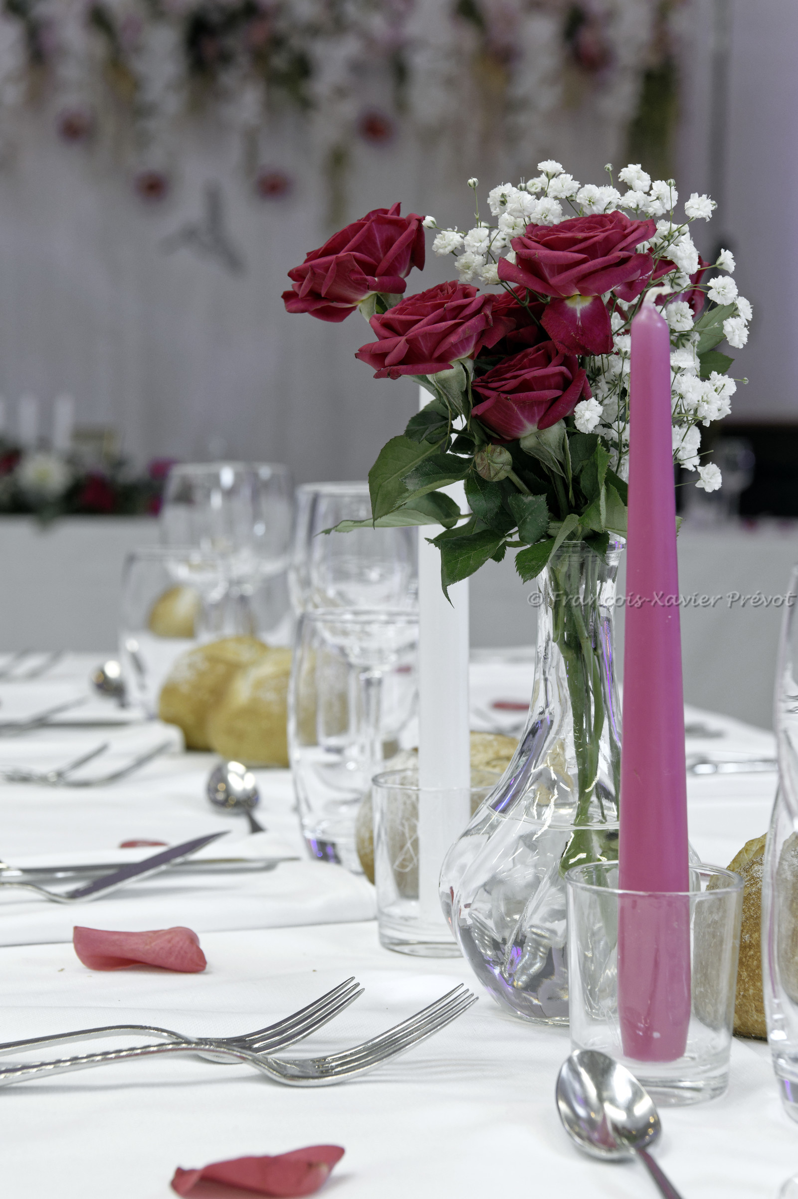 Photographe Mariage dans le Finistère