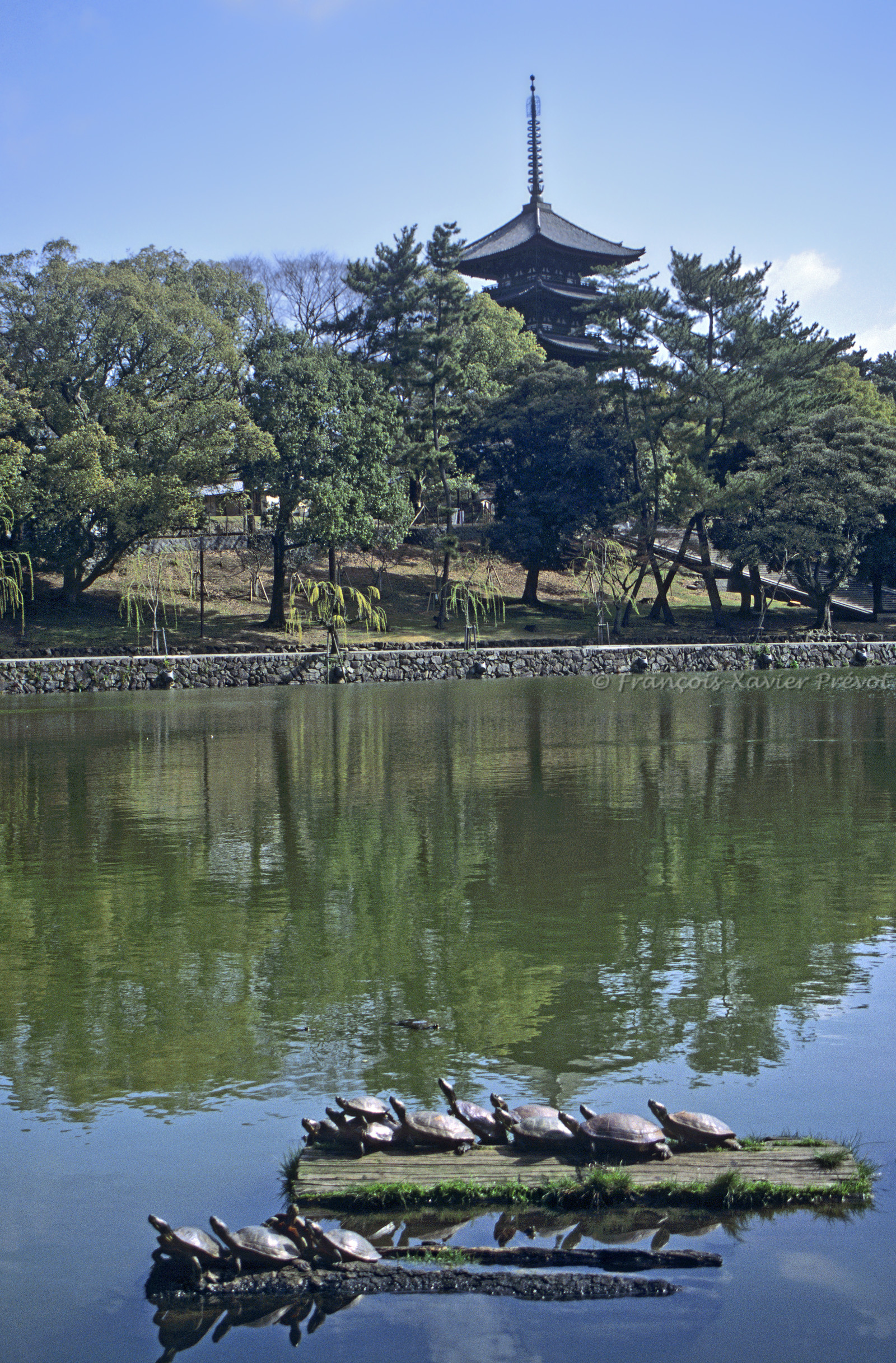 photo du Japon