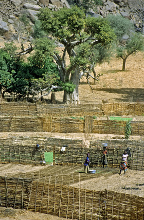photo du Mali