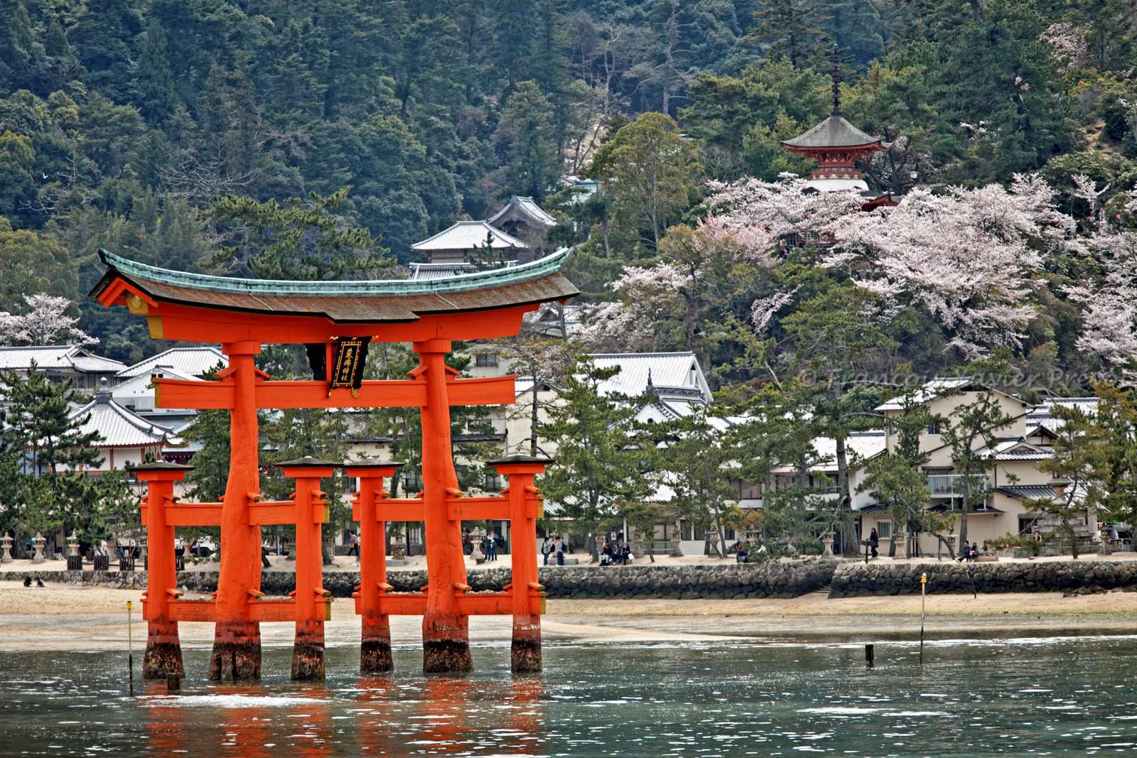 photo du Japon