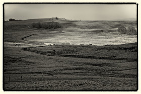 photo de l'aubrac