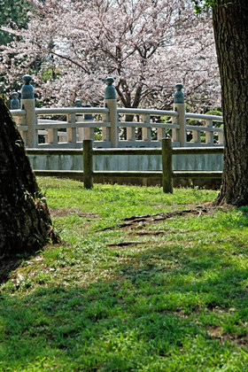 photo du Japon