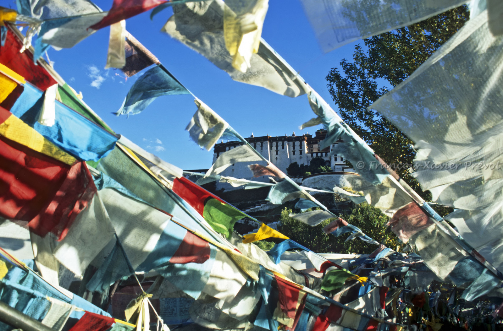 photo du Tibet
