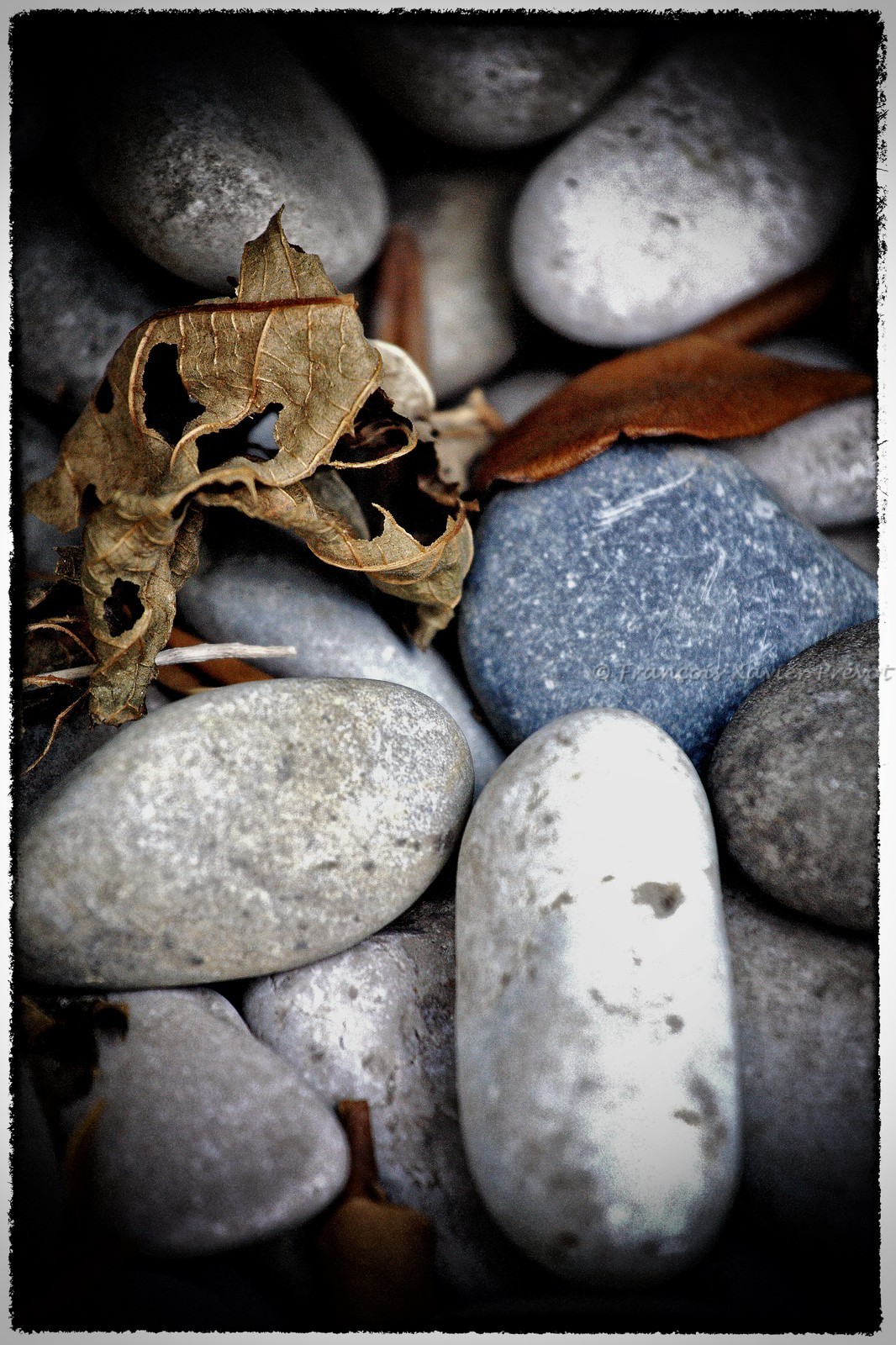 photo de jardin en automne