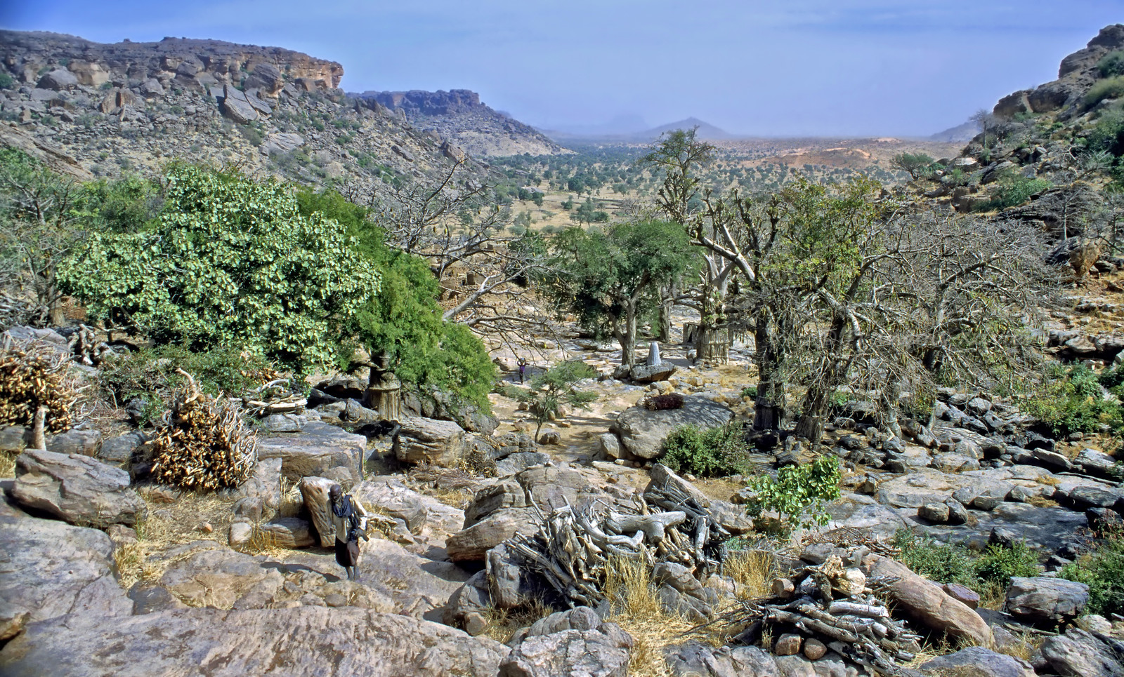 photo du Mali