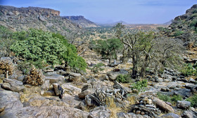 photo du Mali