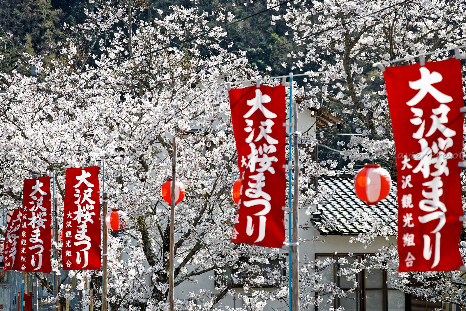 photo du Japon