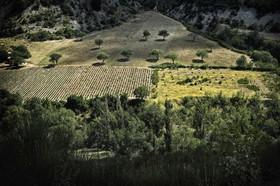 Photo de la Drôme Provençale.