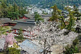 photo du Japon